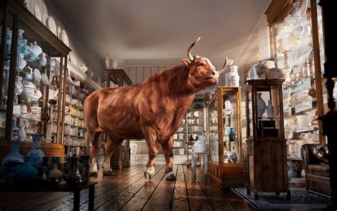 Bull In A China Shop Novibet
